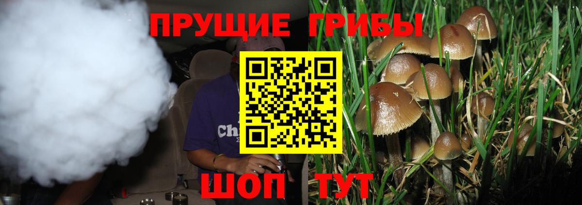 Псилоцибиновые грибы мухоморы  Галлюциногенные грибы Magic Shrooms  Вход с VPN  Кстово 